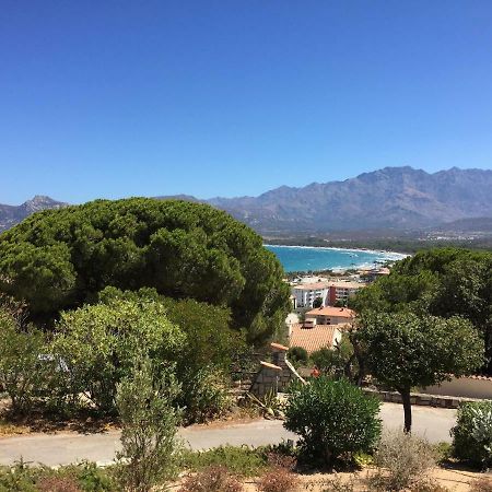 Appartement Calvi Calvi  Exteriér fotografie